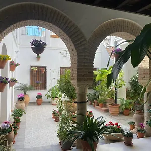 El Patio De Regina Cordoba